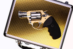Gold Faux Alligator Firearm Case